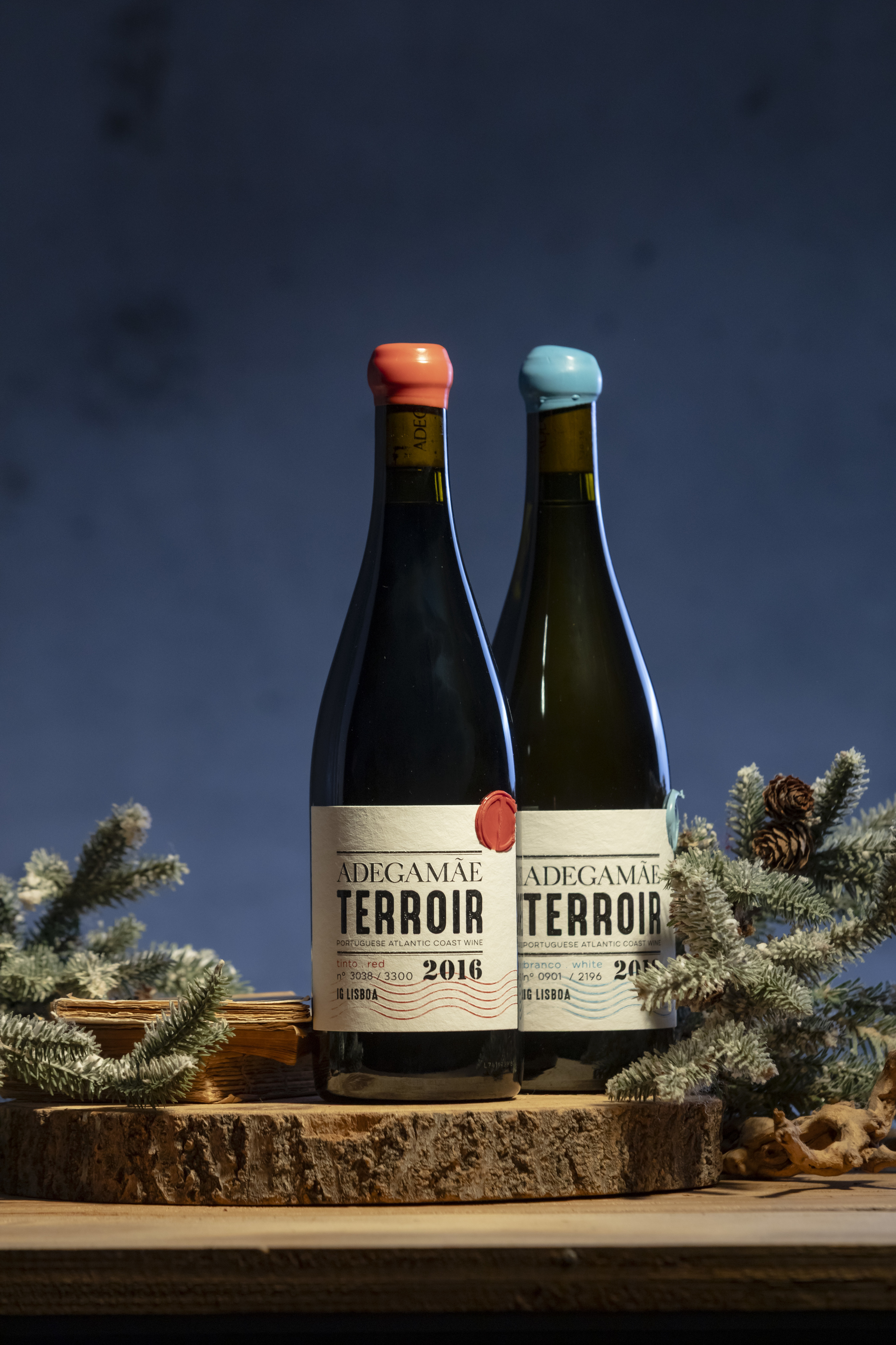 Estes vinhos combinam na perfeição com os sabores clássicos do Natal. Saiba quanto custam