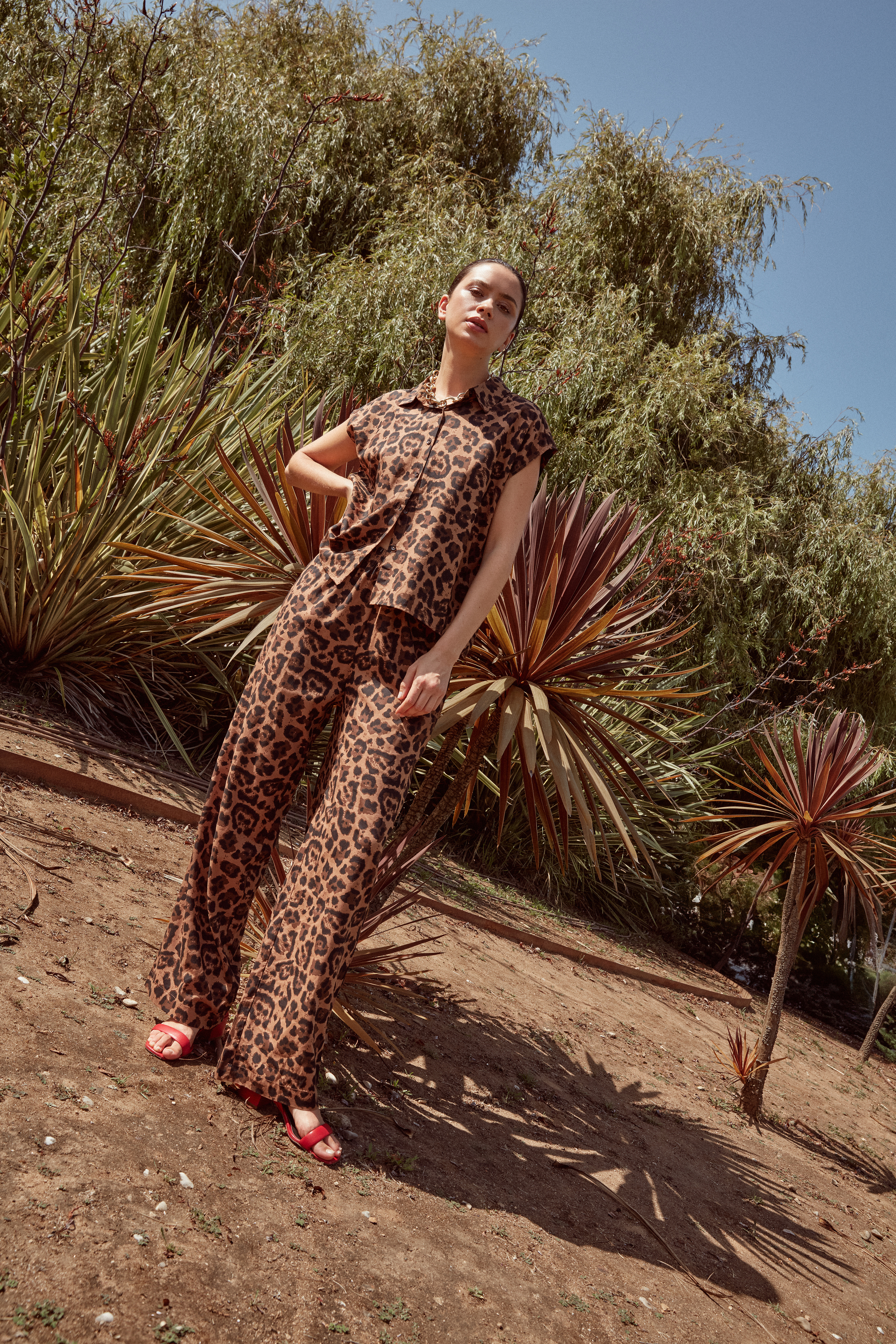 Nova coleção cápsula da MO tem o padrão leopardo como estrela. Espreite as peças (a menos de 20€)