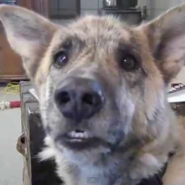 Já se sabe quando estreia a 2.ª temporada de “Ozark” — a série que quer ser “Breaking Bad”