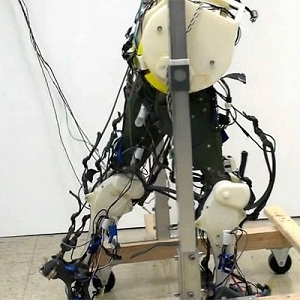 Mulher perde a memória de curto prazo depois de uma infeção cerebral rara