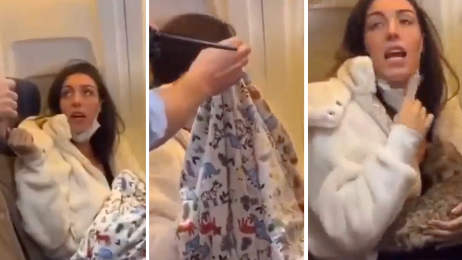 Mulher fingiu estar a amamentar um bebé num avião, mas afinal era “um gato”. Passageiros passaram-se (vídeo)