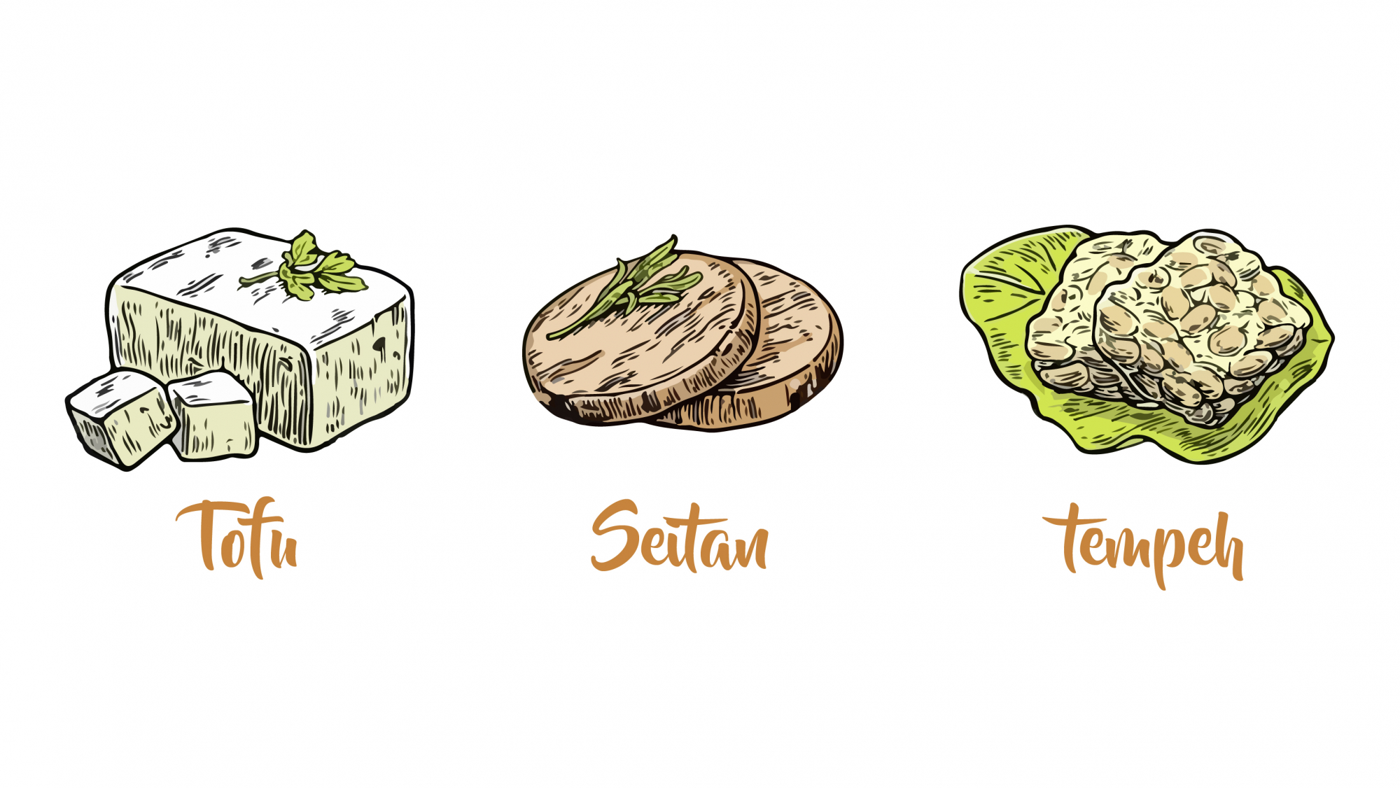 Sabe de que são feitos o tofu, o seitan e o tempeh?