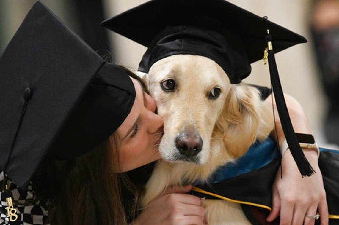 Cão também recebeu diploma de honra na cerimónia de formatura da dona