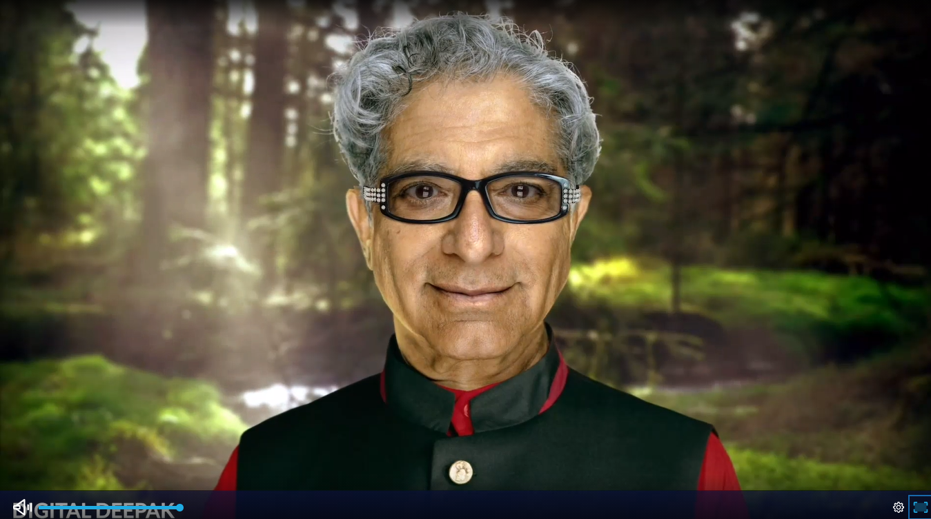 Famílias, há um beach club em Cascais onde até entram crianças — o difícil é tirá-las de lá