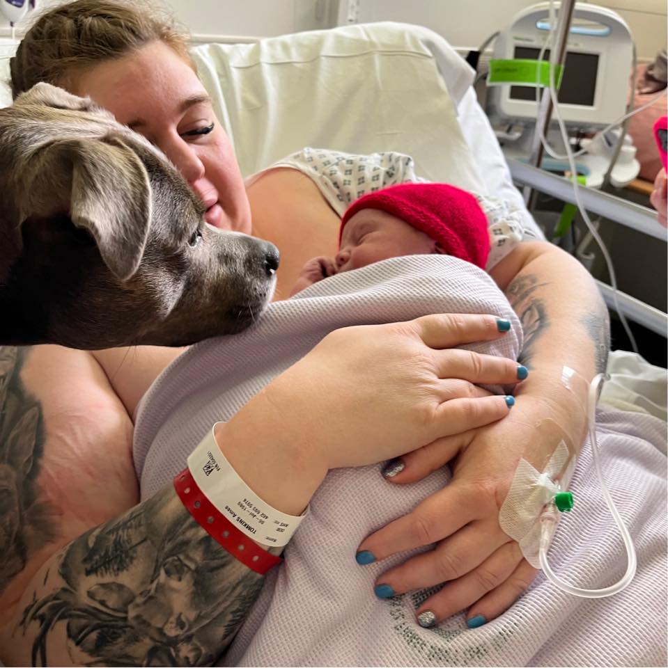 Cadela acompanha dona até na sala de partos — e esta é foto mais fofinha que vai ver hoje