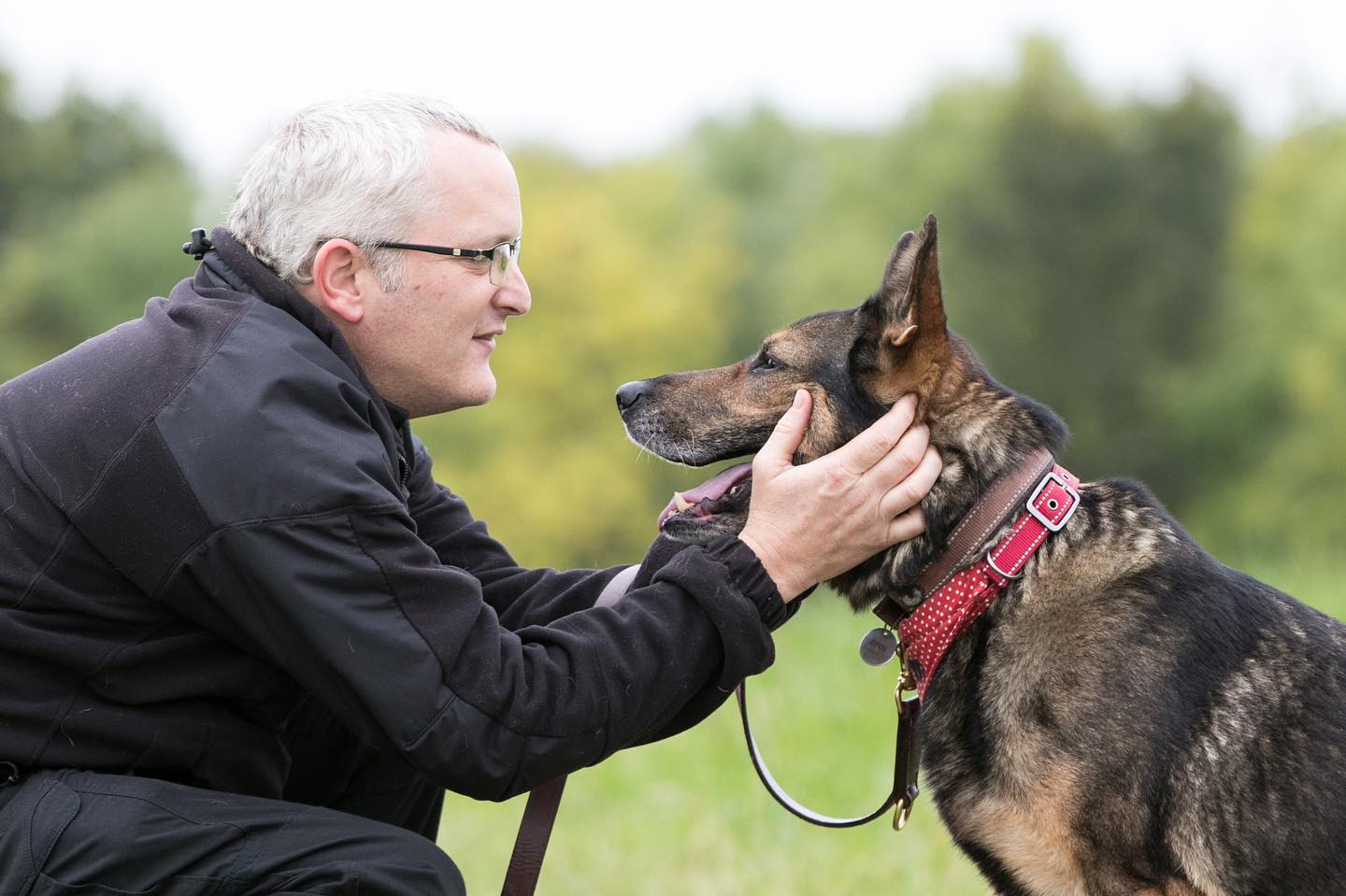 Este cão chama-se Finn e foi esfaqueado para salvar o dono. O homem mudou a vida para se dedicar aos animais