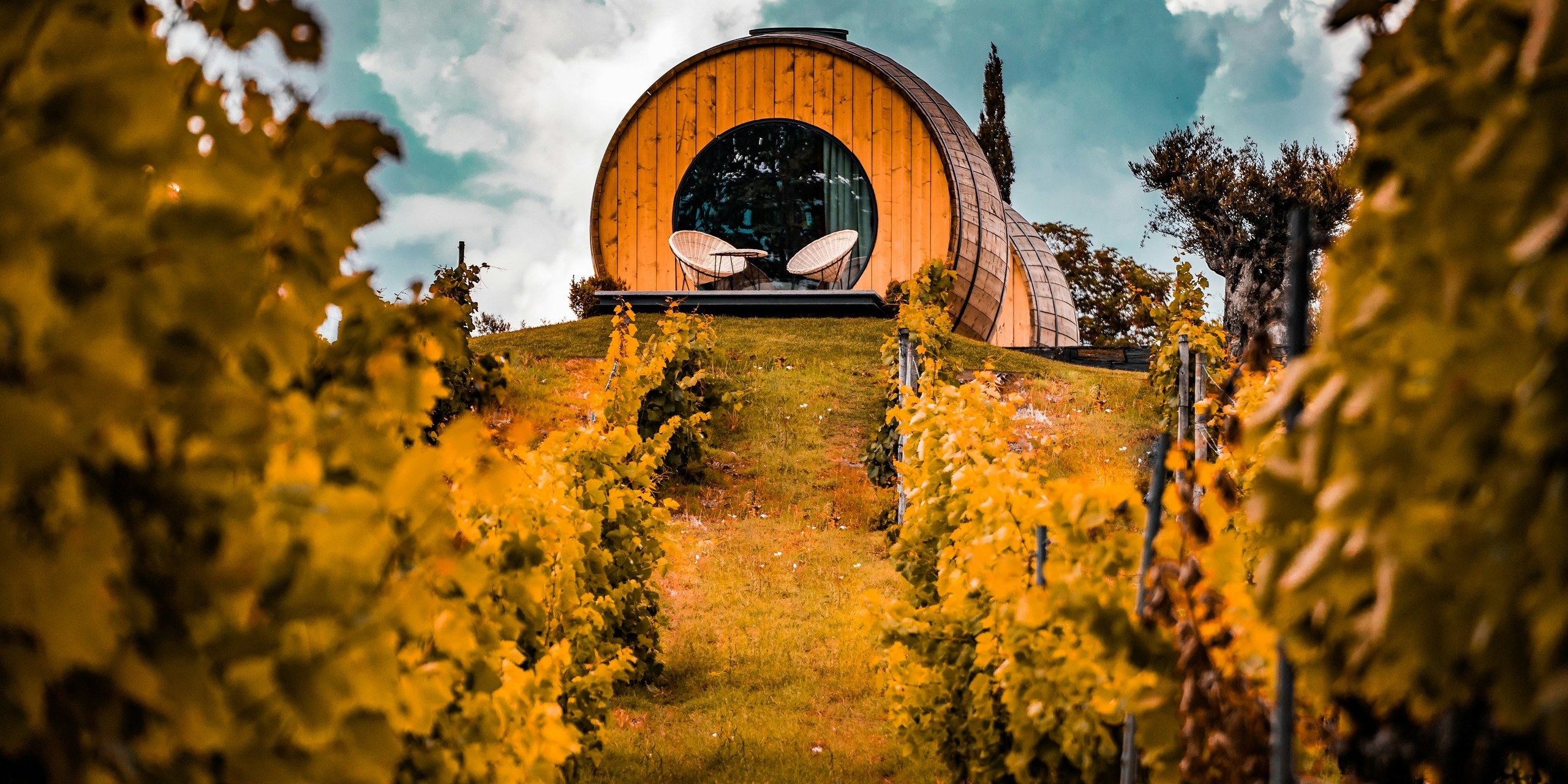 Entre vinhas douradas e adegas históricas: 10 escapadinhas vínicas para viver o outono em Portugal