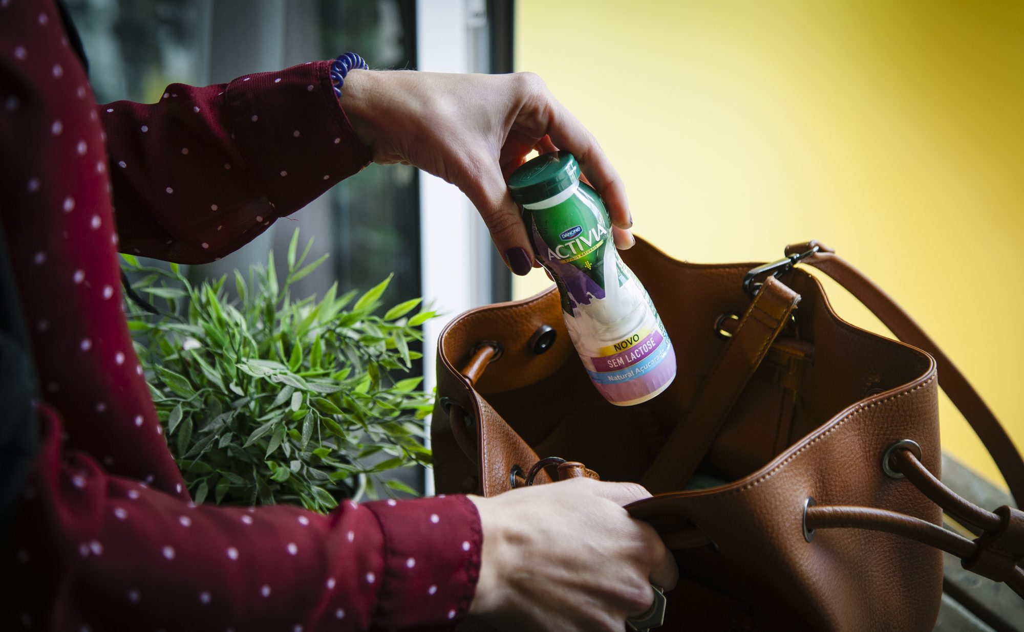 (In)tolerância zero… à lactose