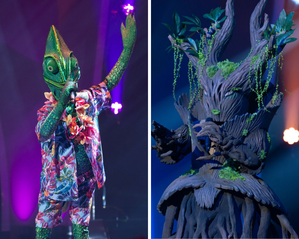 “A Máscara”. A Árvore e o Camaleão são as revelações da noite (mas esse já todos sabiam)