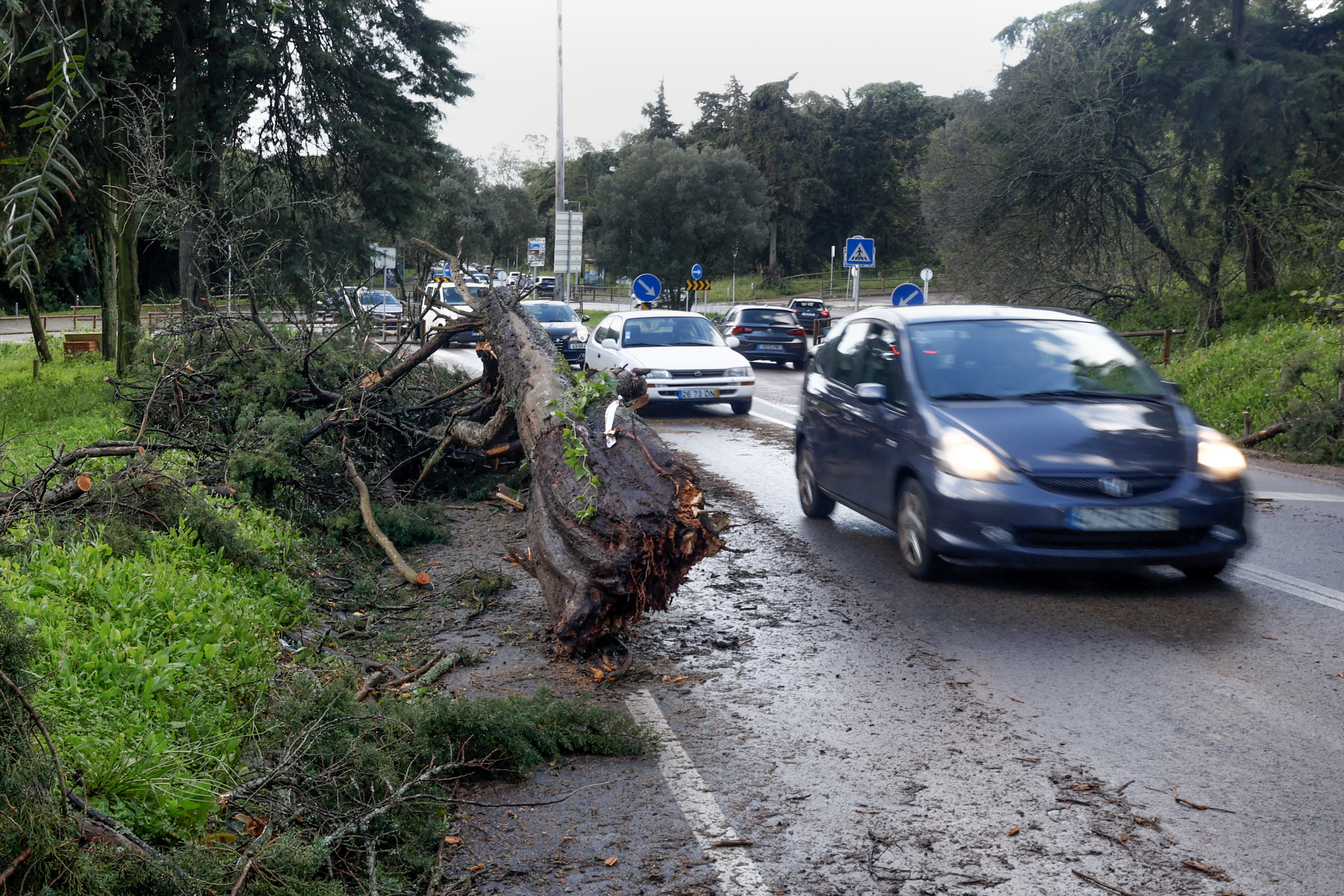 Mau tempo: maioria dos distritos com aviso devido à chuva, vento, agitação marítima e neve