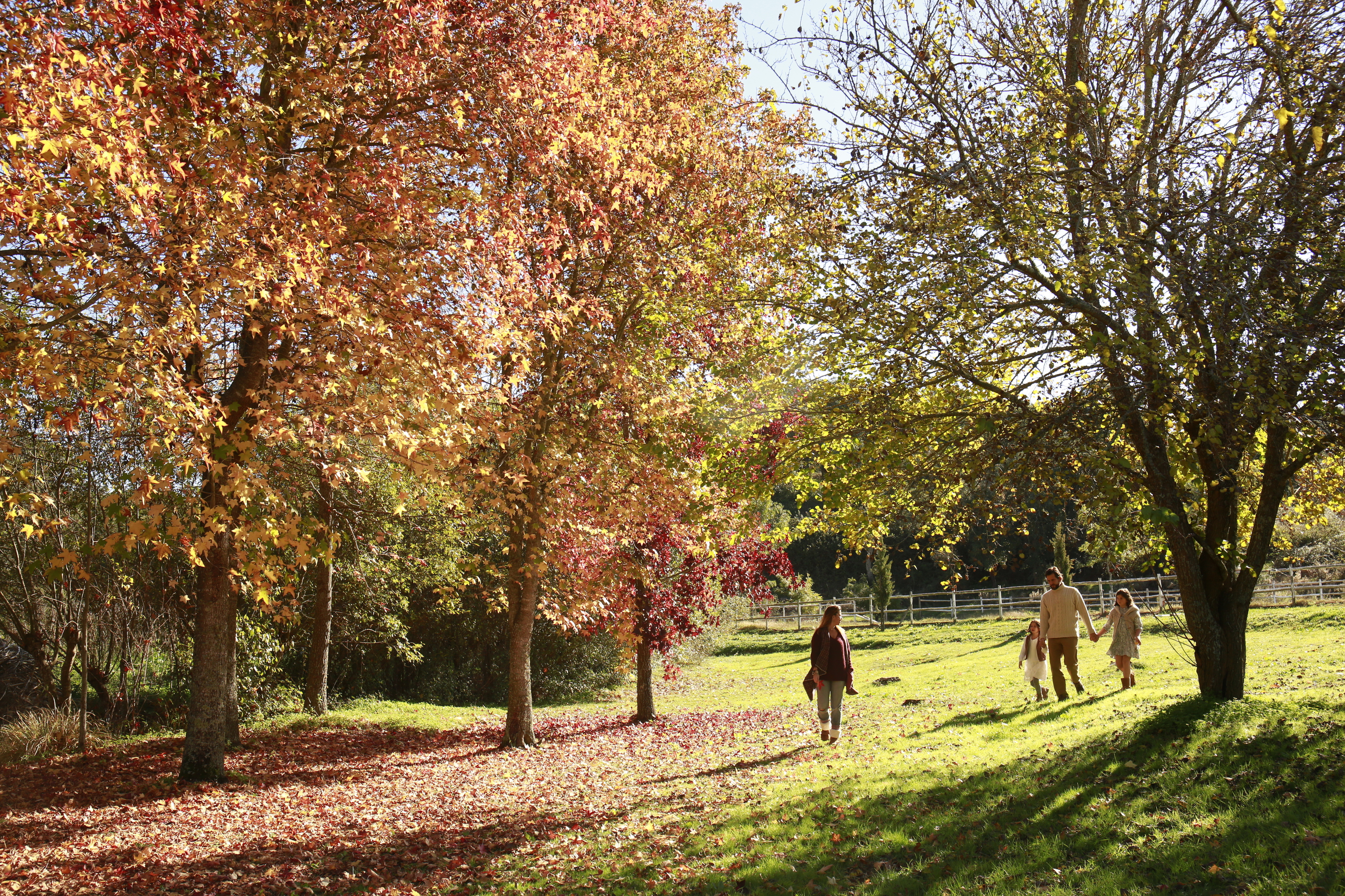 Páscoa não são só amêndoas. É ioga, caminhadas e aventura na Herdade da Matinha