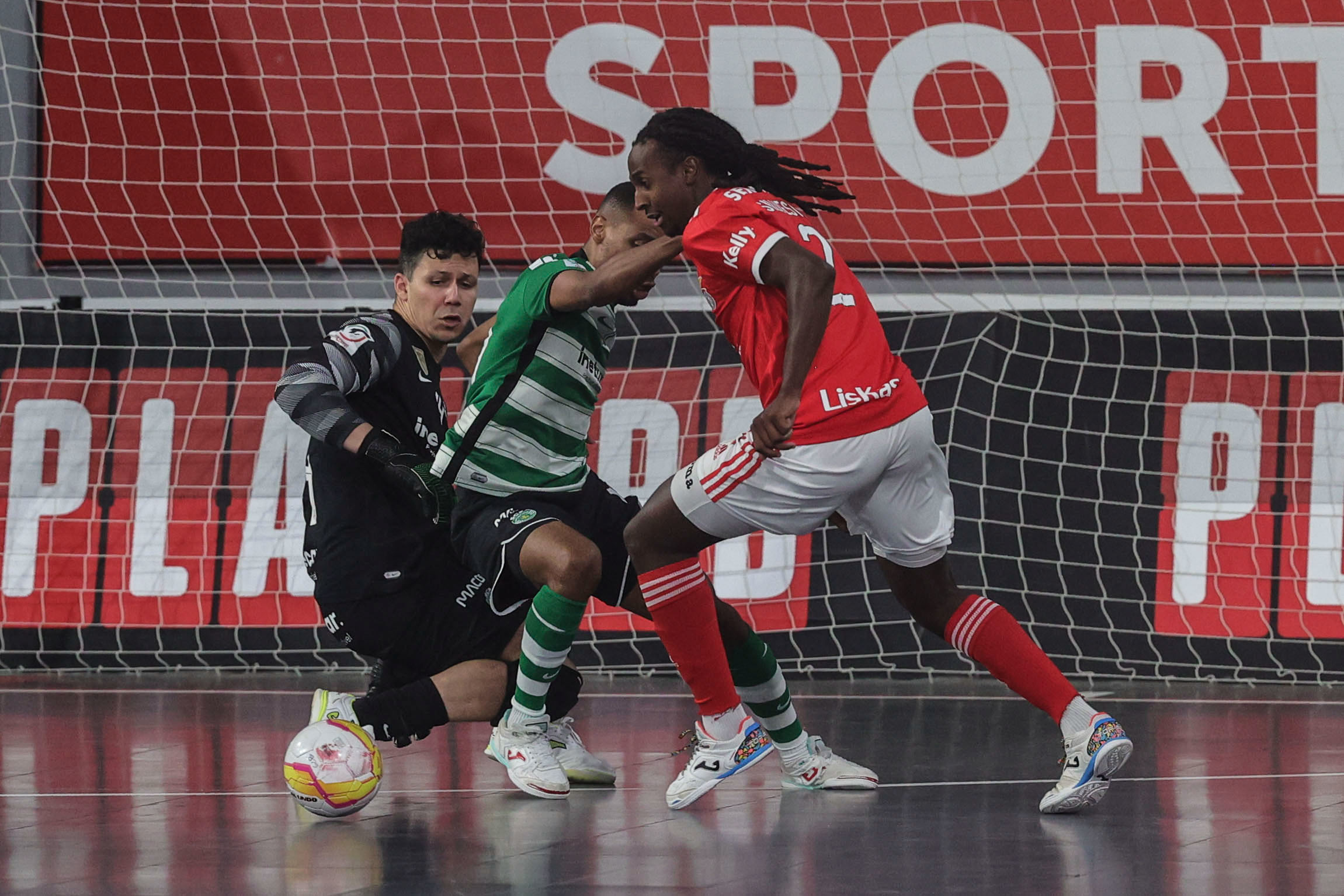 Hoje joga-se o Jogo 4 da final do Nacional de Futsal e Sporting pode ser  campeão na Luz - Futsal - SAPO Desporto