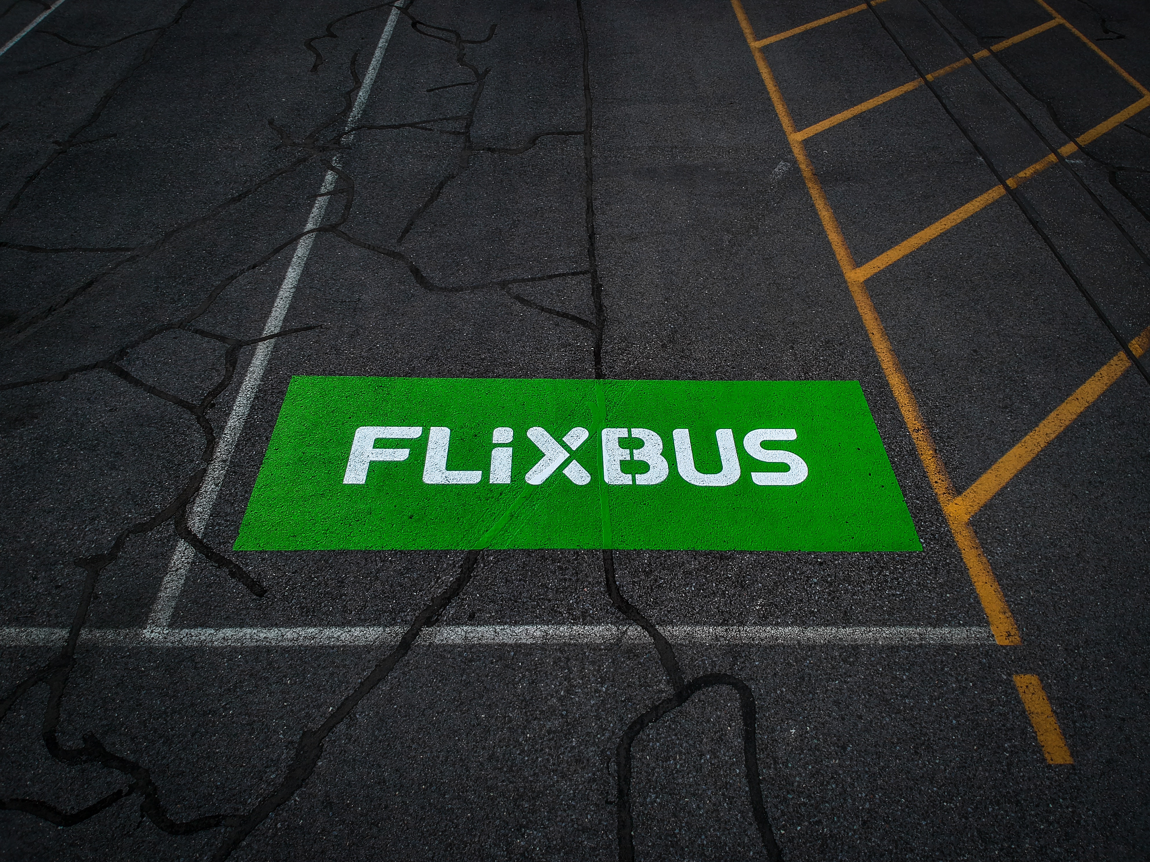 FlixBus tem bilhetes a partir de 1€ para viajar de norte a sul de Portugal