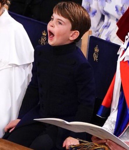 Coroação. O aborrecimento do príncipe Louis foi o melhor da cerimónia — veja as fotos hilariantes