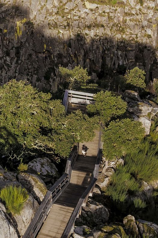 Passadiços do Paiva reabrem esta segunda-feira. Saiba como pode visitar a atração de Arouca