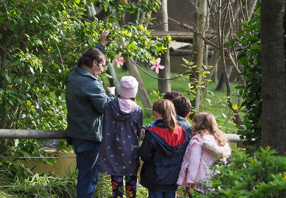 O Jardim Zoológico tem um campo de férias perfeito para deixar os miúdos neste Natal. Saiba tudo