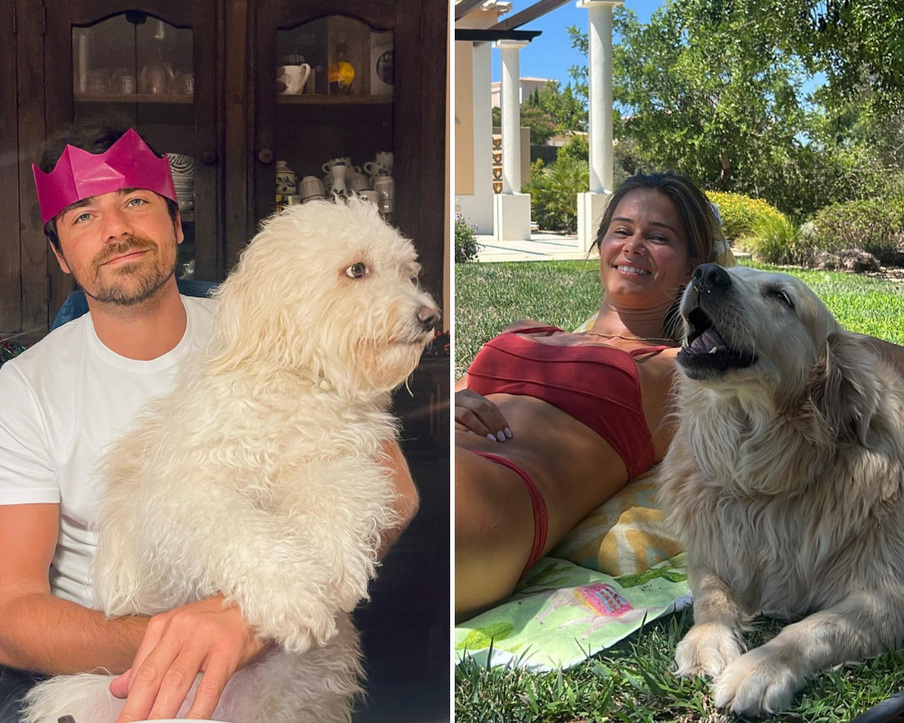 Dia Mundial do Cão. Conheça os amigos de quatro patas dos famosos e derreta-se com as fotografias