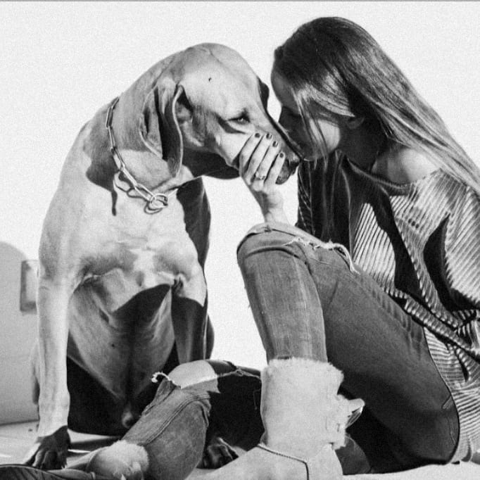 Carolina Patrocínio despede-se do cão: “Até um dia, melhor leão do mundo”