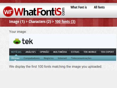 O que significam as 10 posições de dormir mais comuns do seu animal de estimação