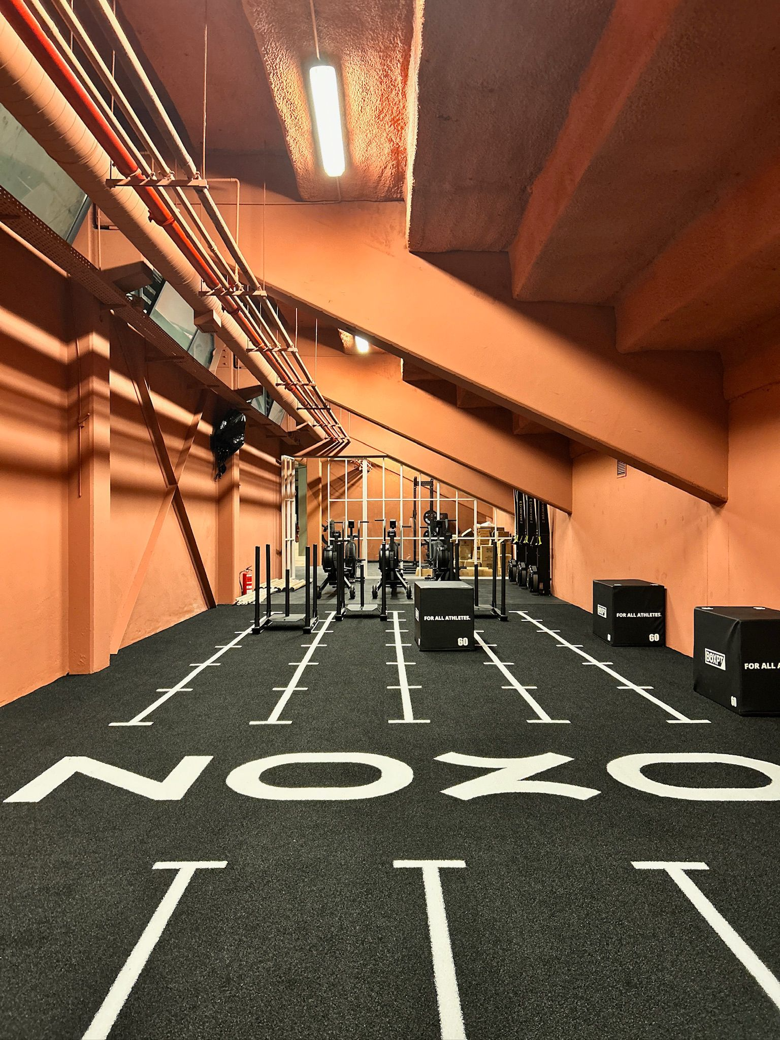 Ozon. O novo ginásio que apresenta treinos com métodos diferentes e progressivos (e está quase a abrir)