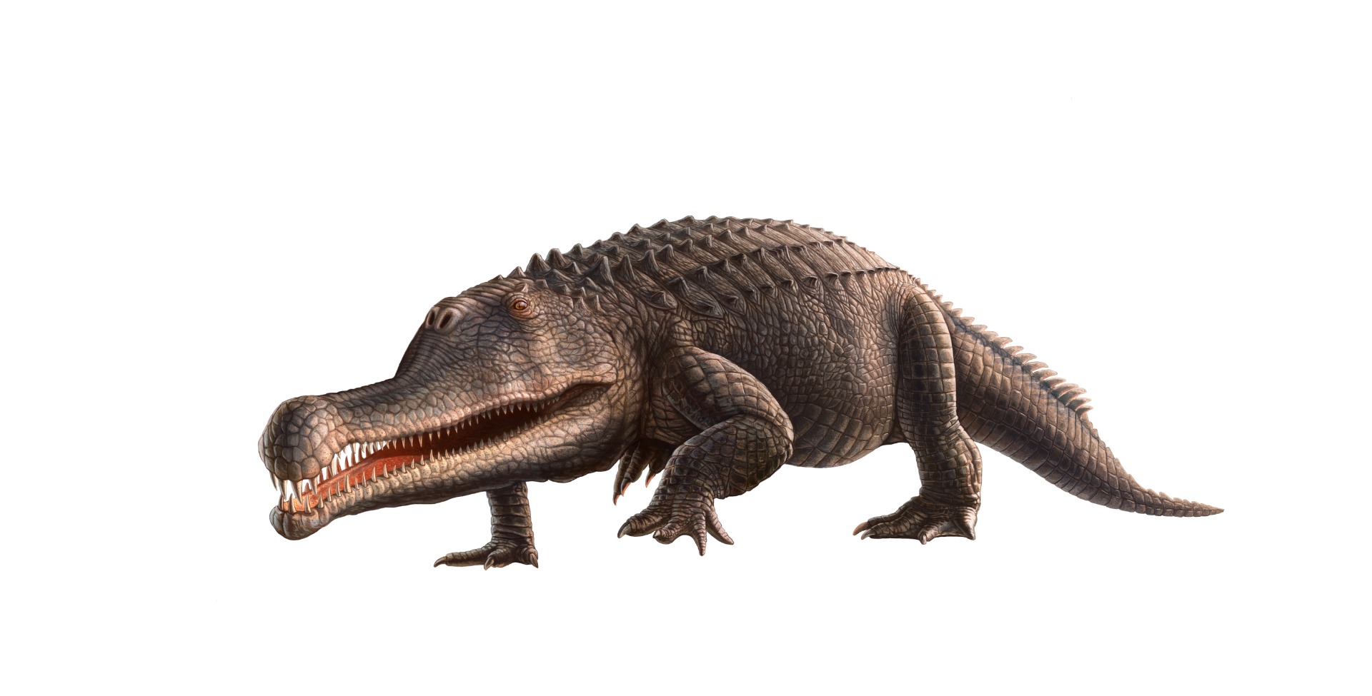 Esta história real já é um sucesso da Netflix. Usou as redes sociais para aterrorizar 60 mulheres