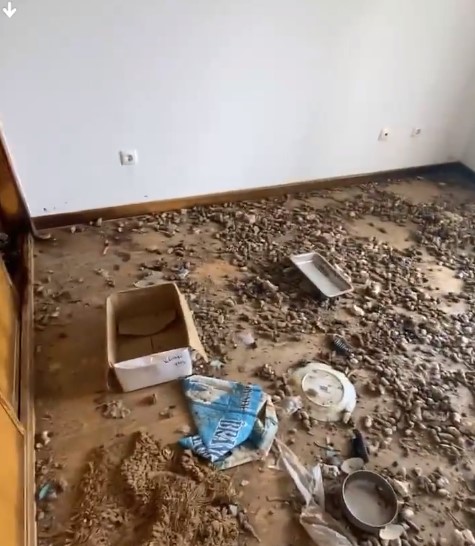 Nove cães encontrados mortos em Bucelas. Organização diz que é “a maior tragédia” com caninos