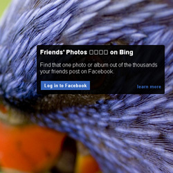 Há uma nova e exclusiva marca portuguesa de calças de ganga