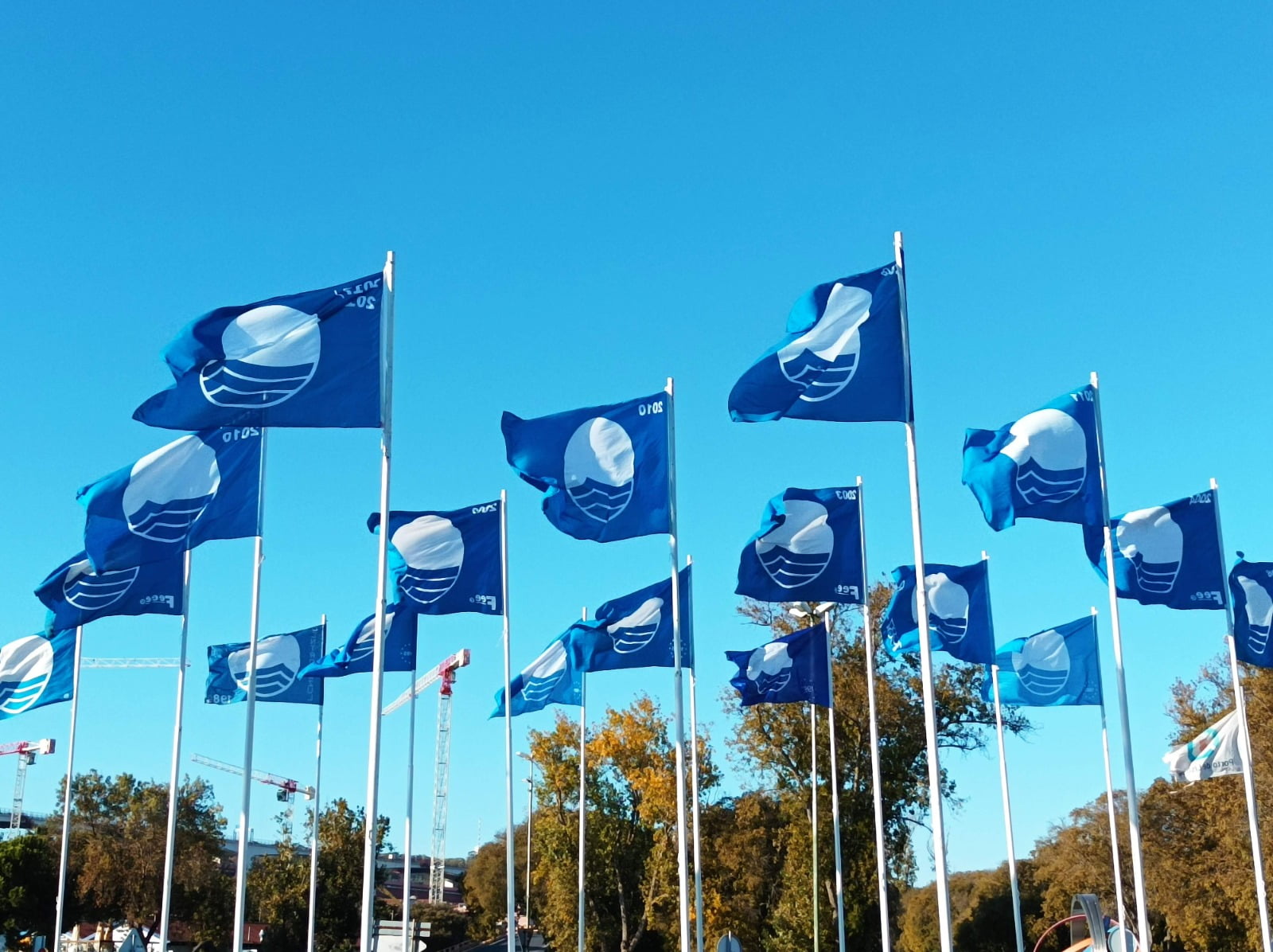 Praia portuguesa com Bandeira Azul foi interditada a banhos. Saiba porquê