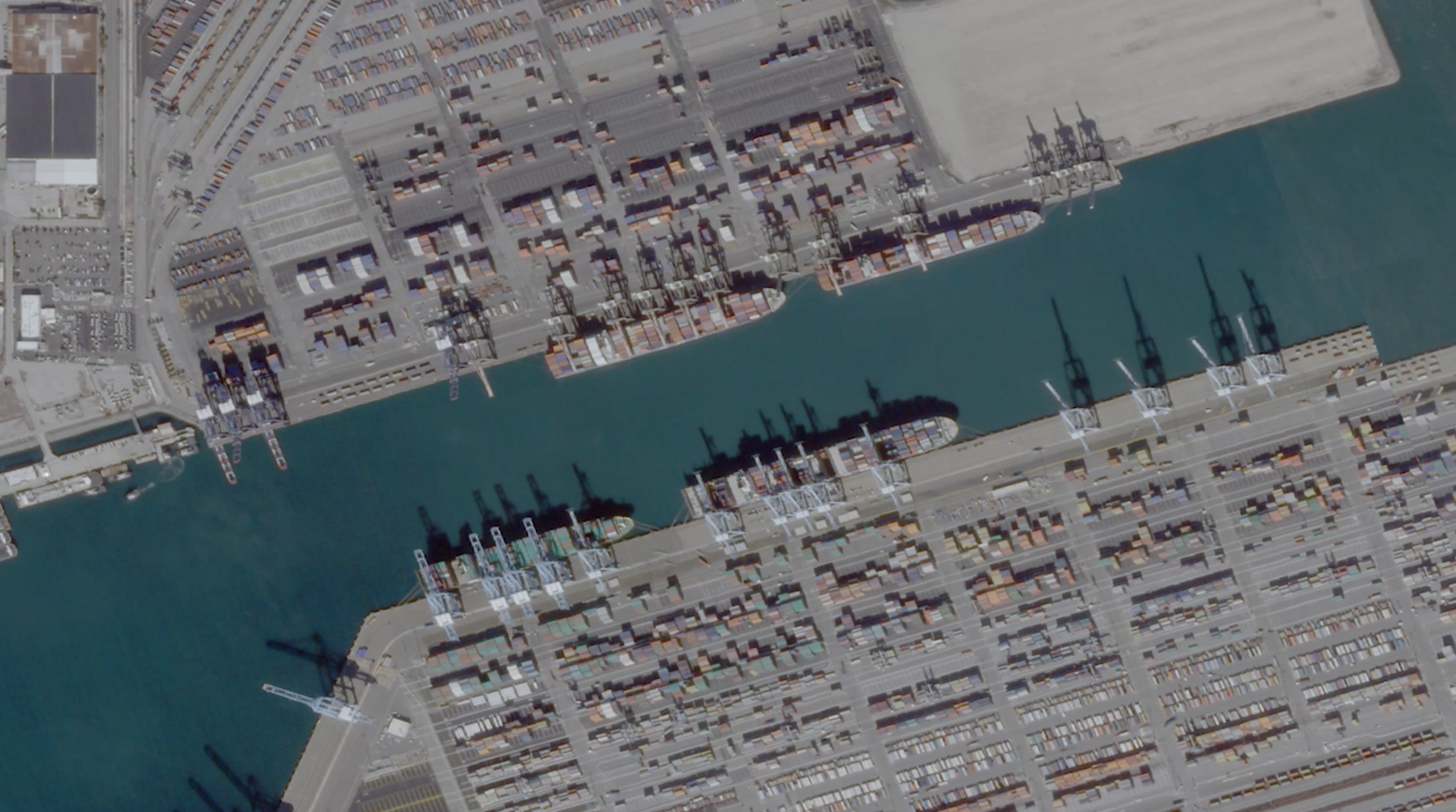 Zena em lágrimas após críticas à sua liderança. “Tentei fazer as coisas da melhor forma”