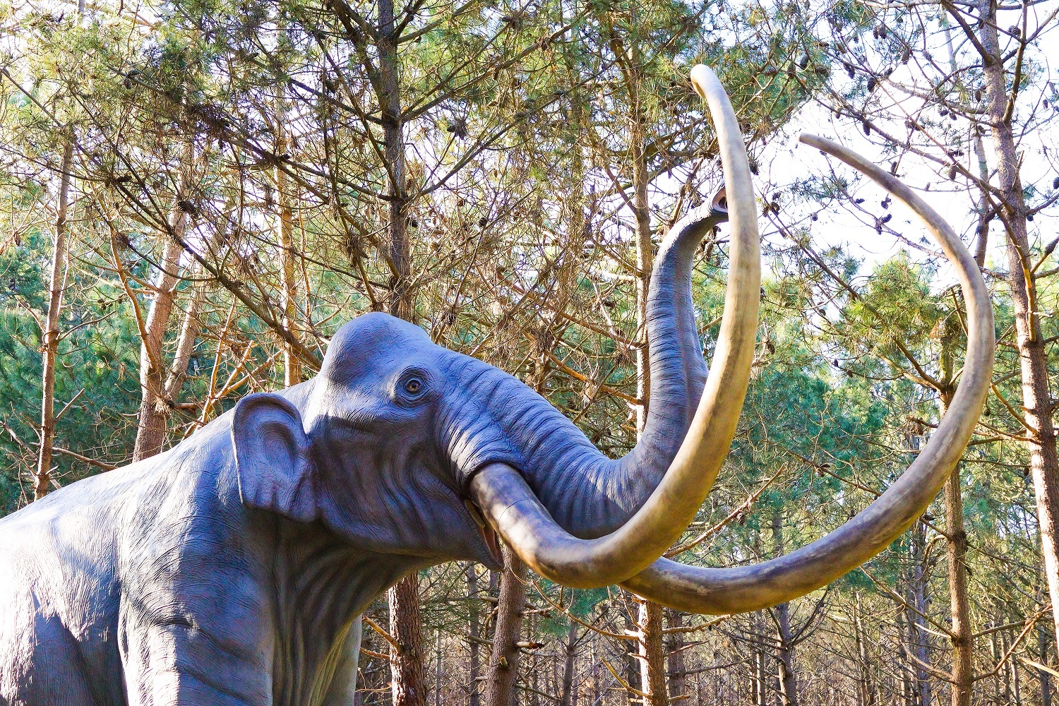 Já não há só dinossauros na Lourinhã. O Dino Parque foi até à Idade do Gelo e trouxe mamutes