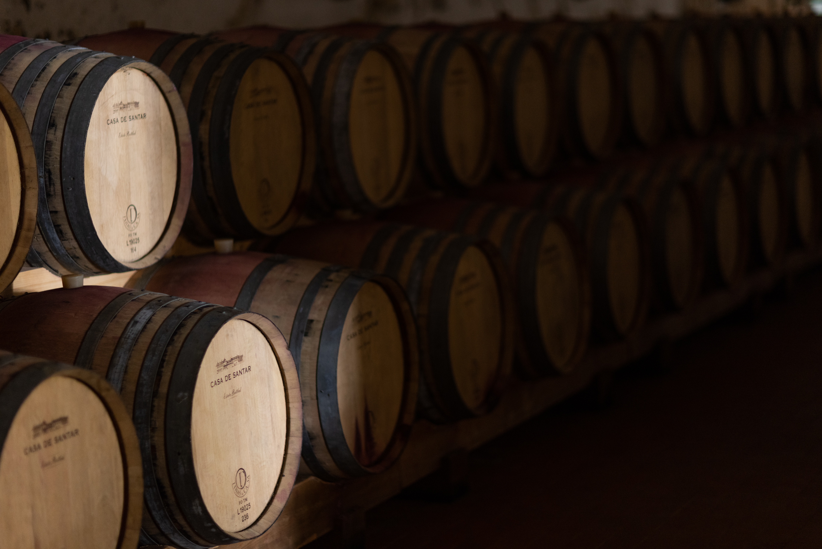 Este vinho branco é uma grande escolha. Saiba quanto tem de pagar para o provar