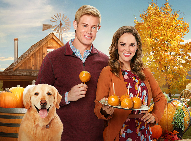 Sabe de onde vêm aqueles filmes que devora numa tarde de domingo na Fox Life?