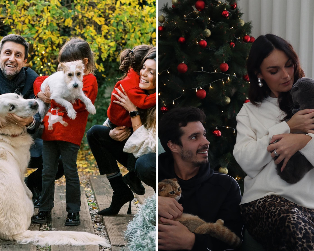 De Daniel Oliveira a Mafalda Castro. Veja as primeiras fotos de Natal dos famosos