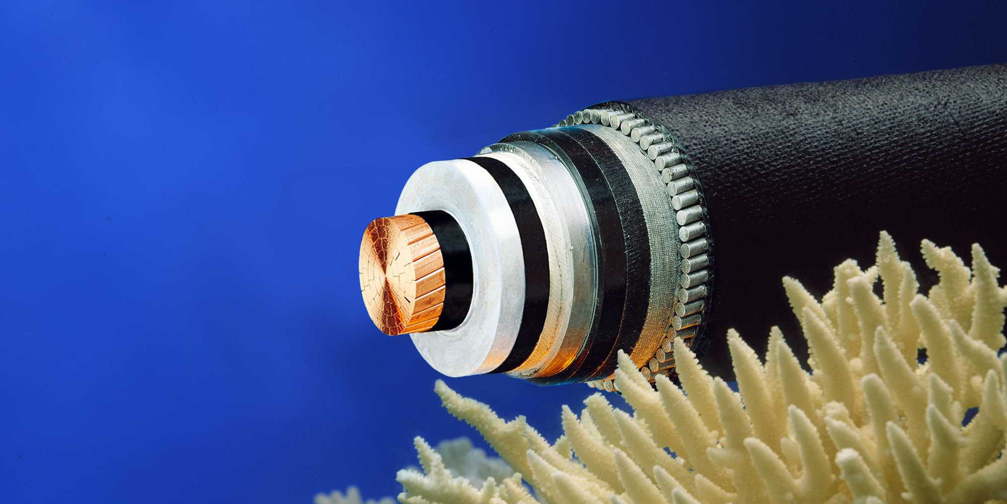 Das salsichas ao strudel. Em dia de Portugal-Alemanha, espreite estes restaurantes alemães