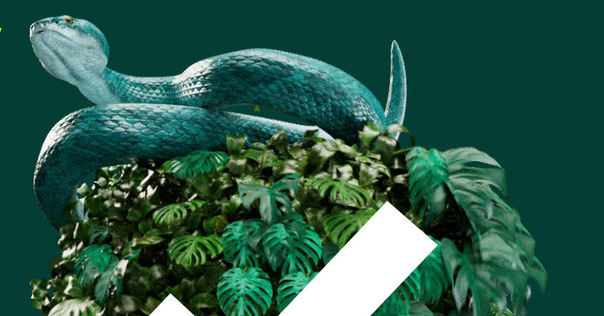 Sounds Right é mais que uma playlist no Spotify, é um projeto de conservação da Natureza