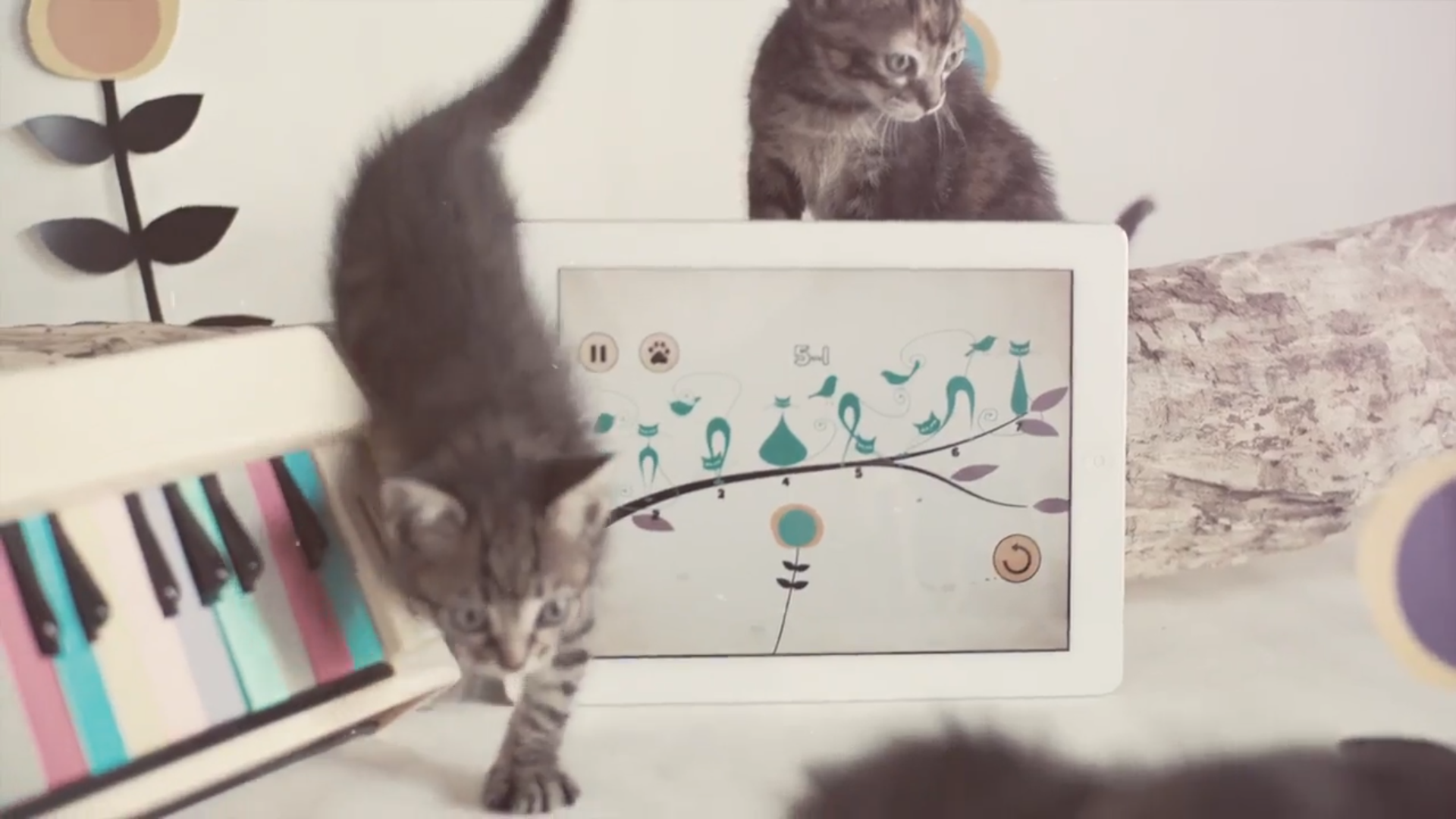 10 produtos vegan que tem de incluir na sua rotina de beleza (desde 0,99€)