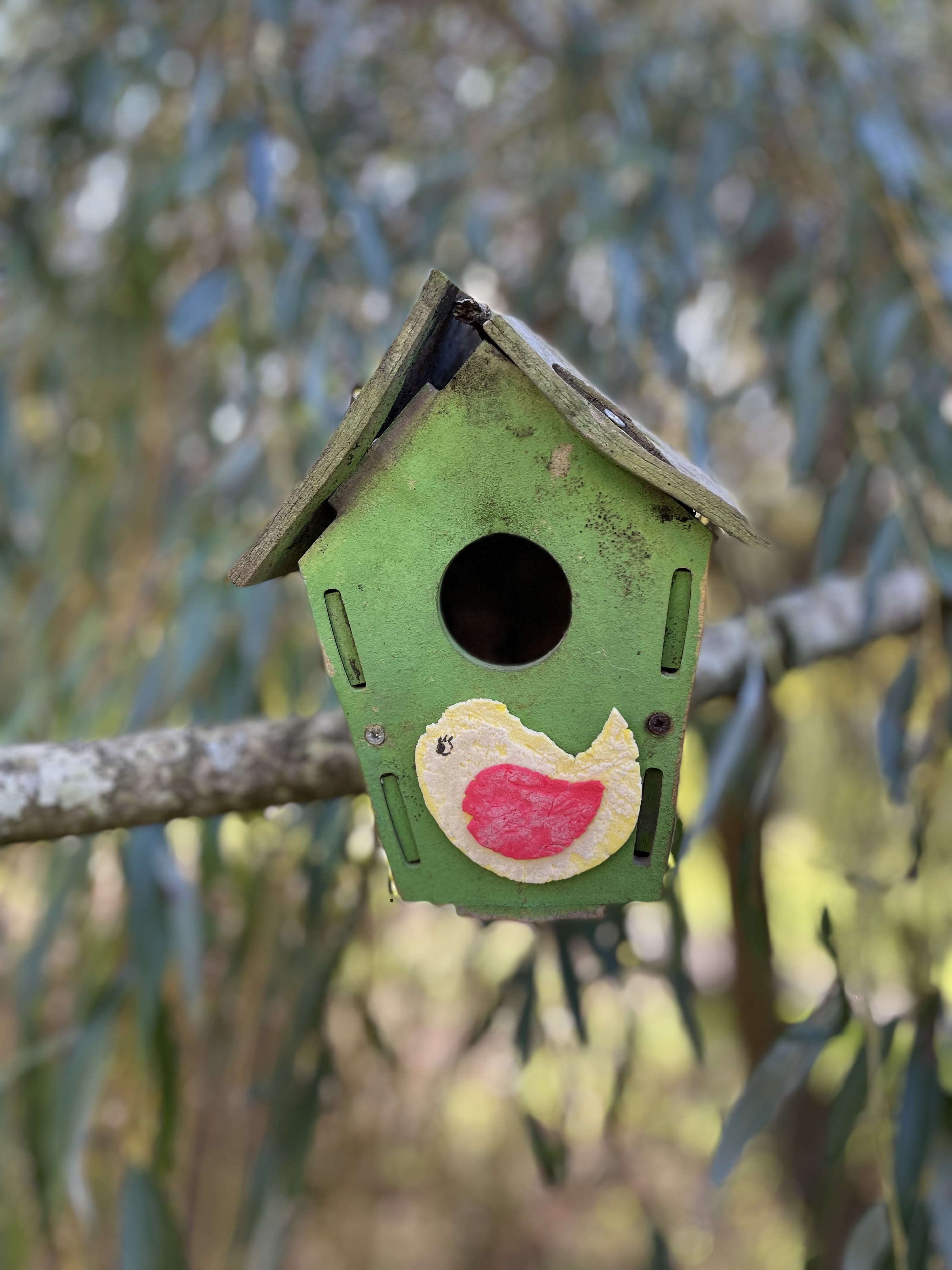 Atividades sustentáveis ao ar livre. Observar e conhecer os pássaros