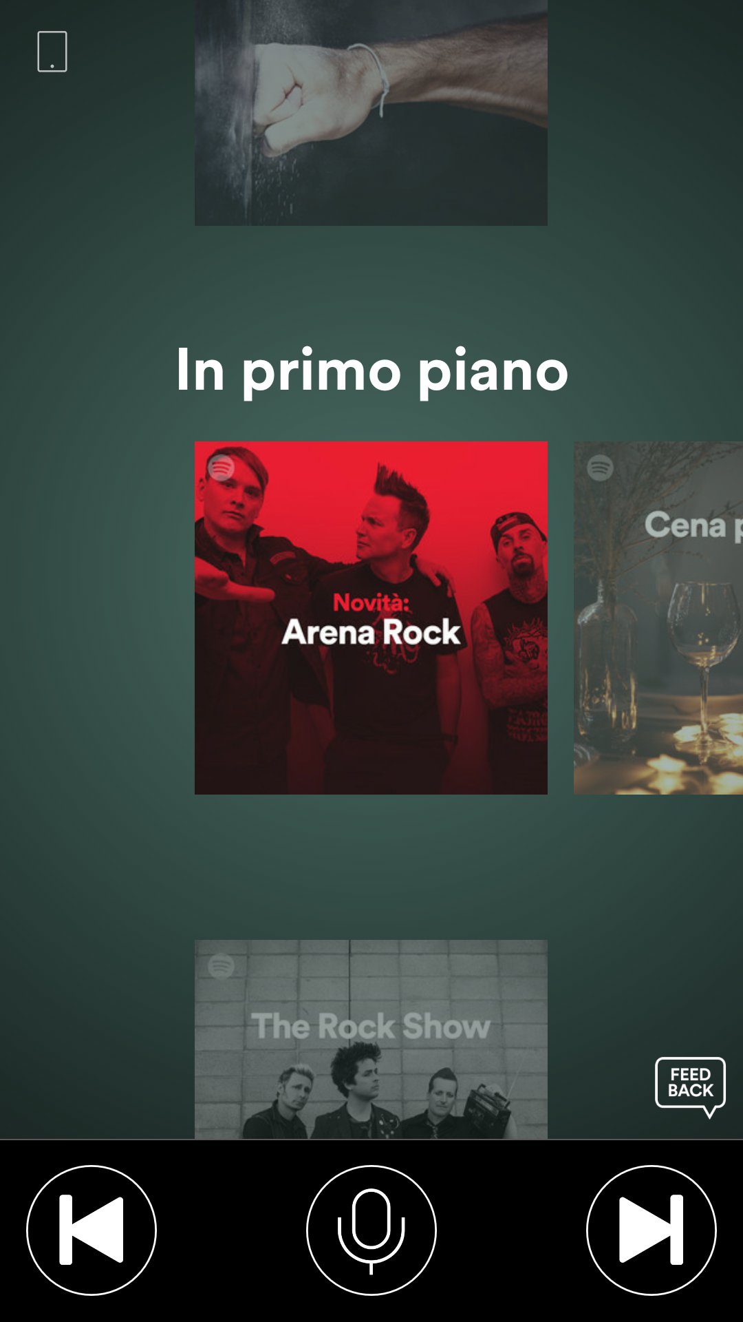 “Eu sou a maluca dos gatos”. Conheça as histórias de humanos apaixonados por animais