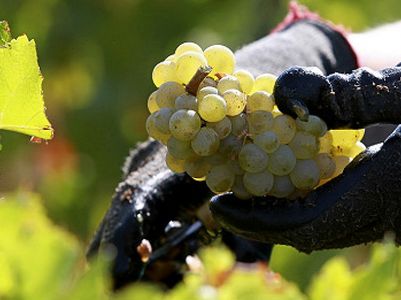 “Super K VS Cancer”. O jogo que ajuda miúdos com cancro a entenderem a doença