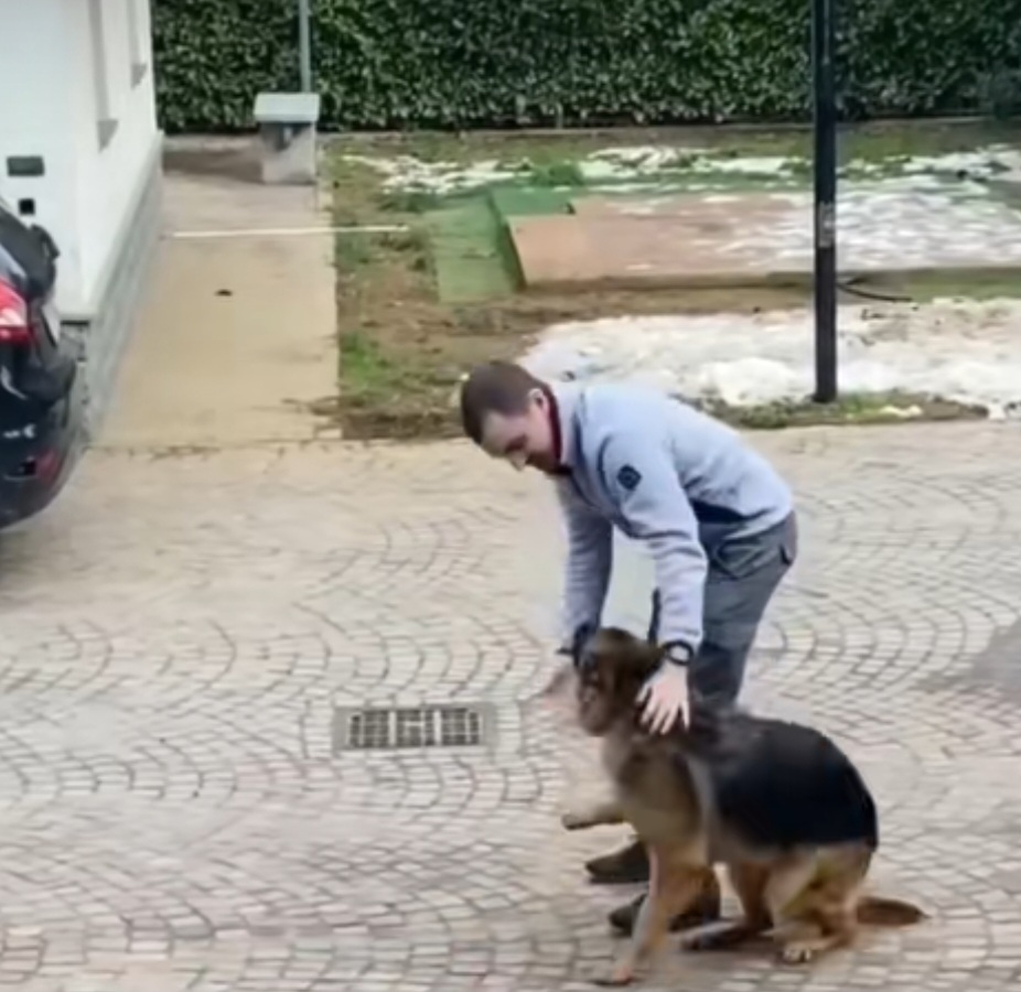 Cão e dono reencontram-se ao fim de 3 anos de separação. Veja o vídeo emocionante