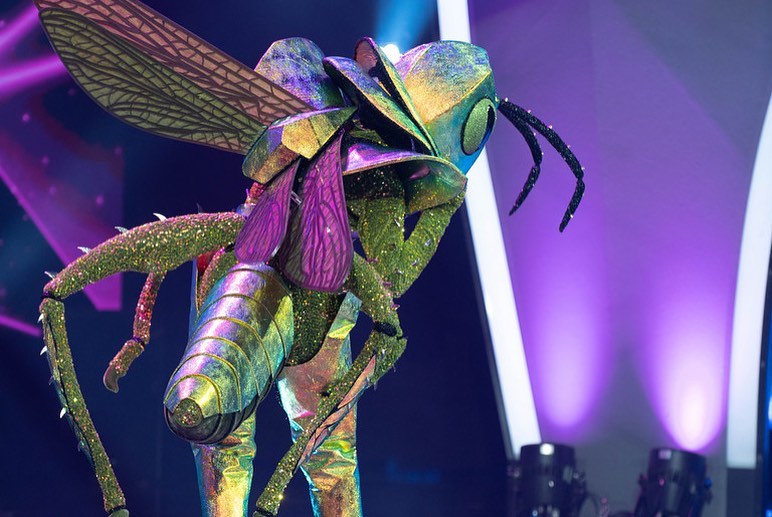 “A Máscara”. Um Gafanhoto televisivo e um Camaleão musical revelados