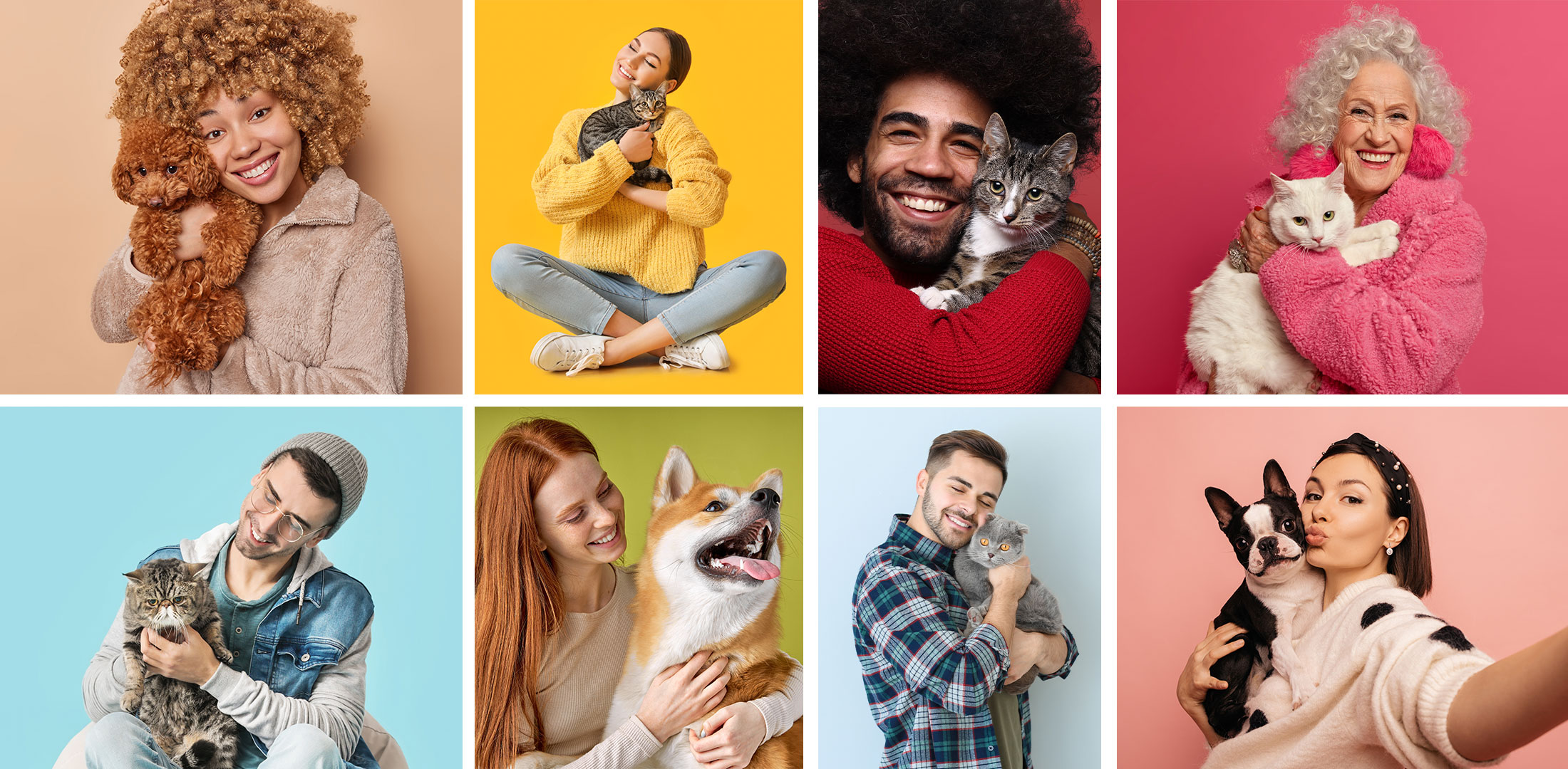 Saiba como proteger o seu patudo, mas também a família com este guia para a desparasitação