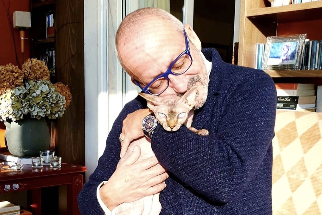 De Manuel Luís Goucha a Helena Coelho. Estes famosos são os maiores fãs de gatos