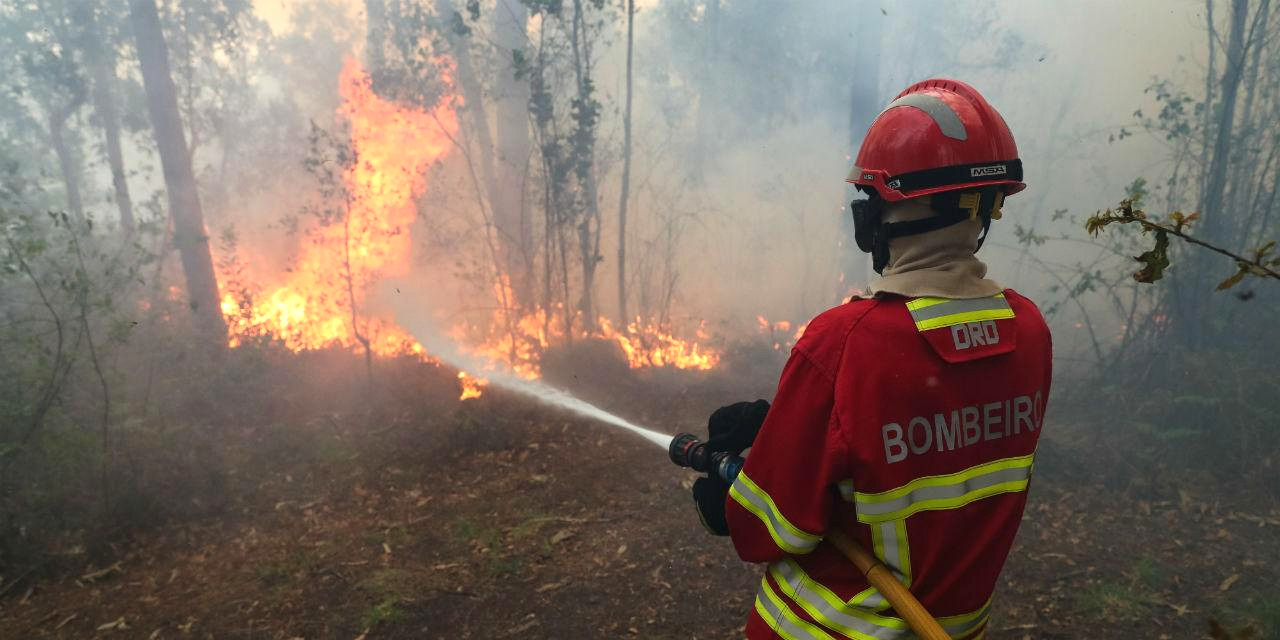 Portugal Ajuda é uma nova plataforma que liga vítimas dos incêndios a voluntários prontos a dar apoio