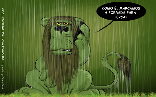 Gato encharcado de Águia fria tem medo