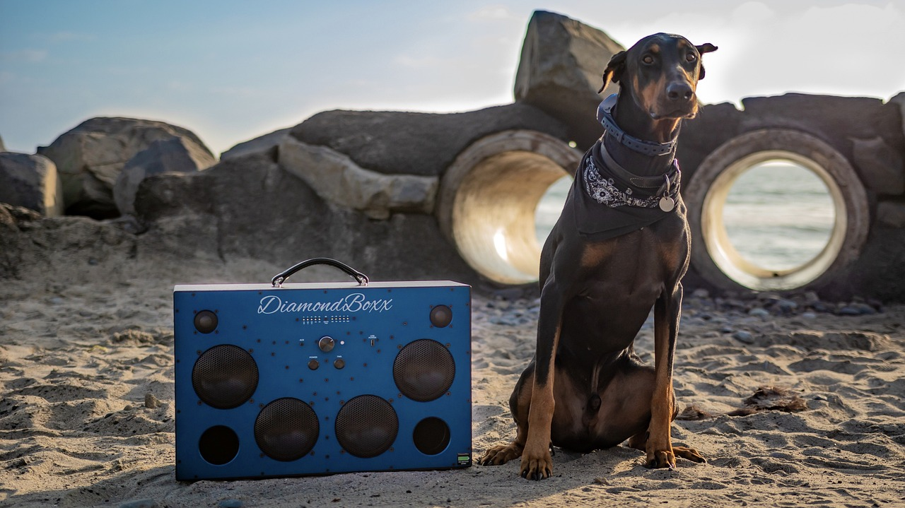 Montra TEK: 8 colunas portáteis para animar as festas e férias de verão