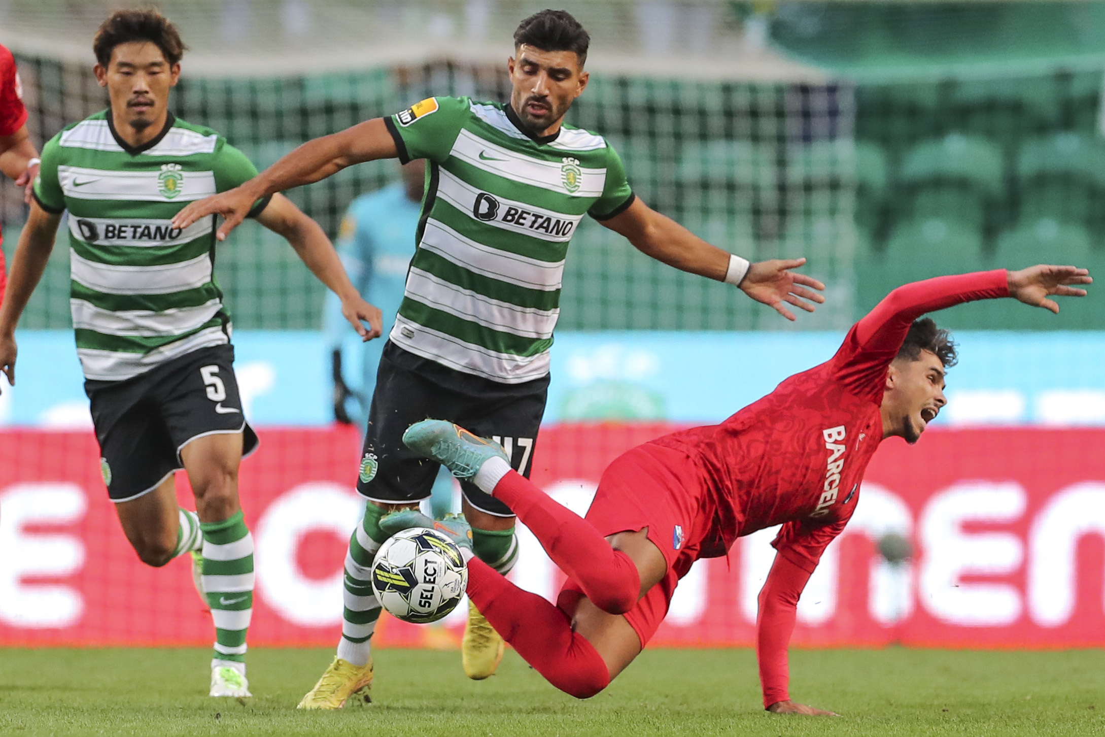 Campeonato Português: como assistir Sporting x Gil Vicente online