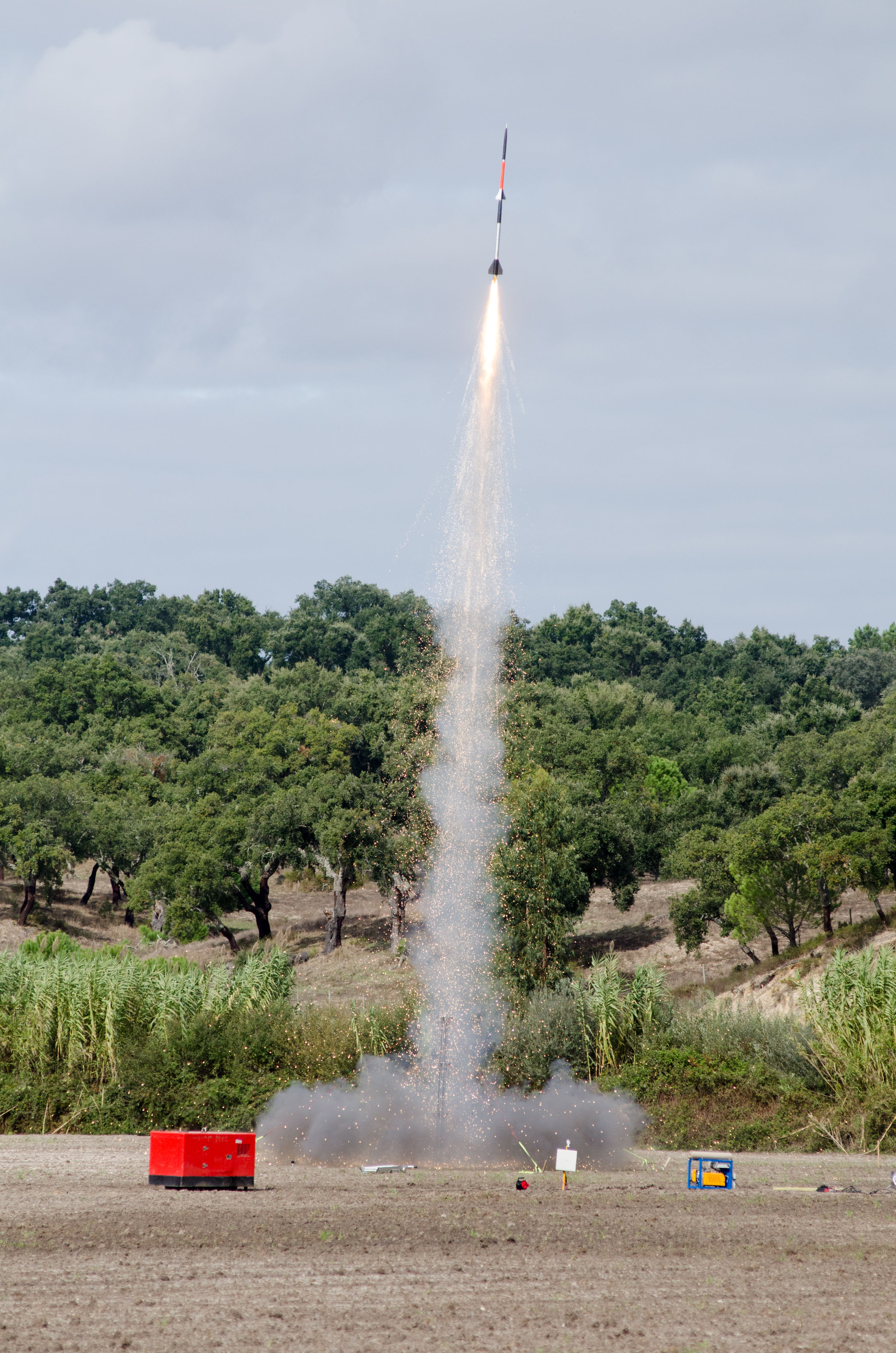 Obra de arte ou parvoíce? Este picle da McDonald’s custa milhares de euros