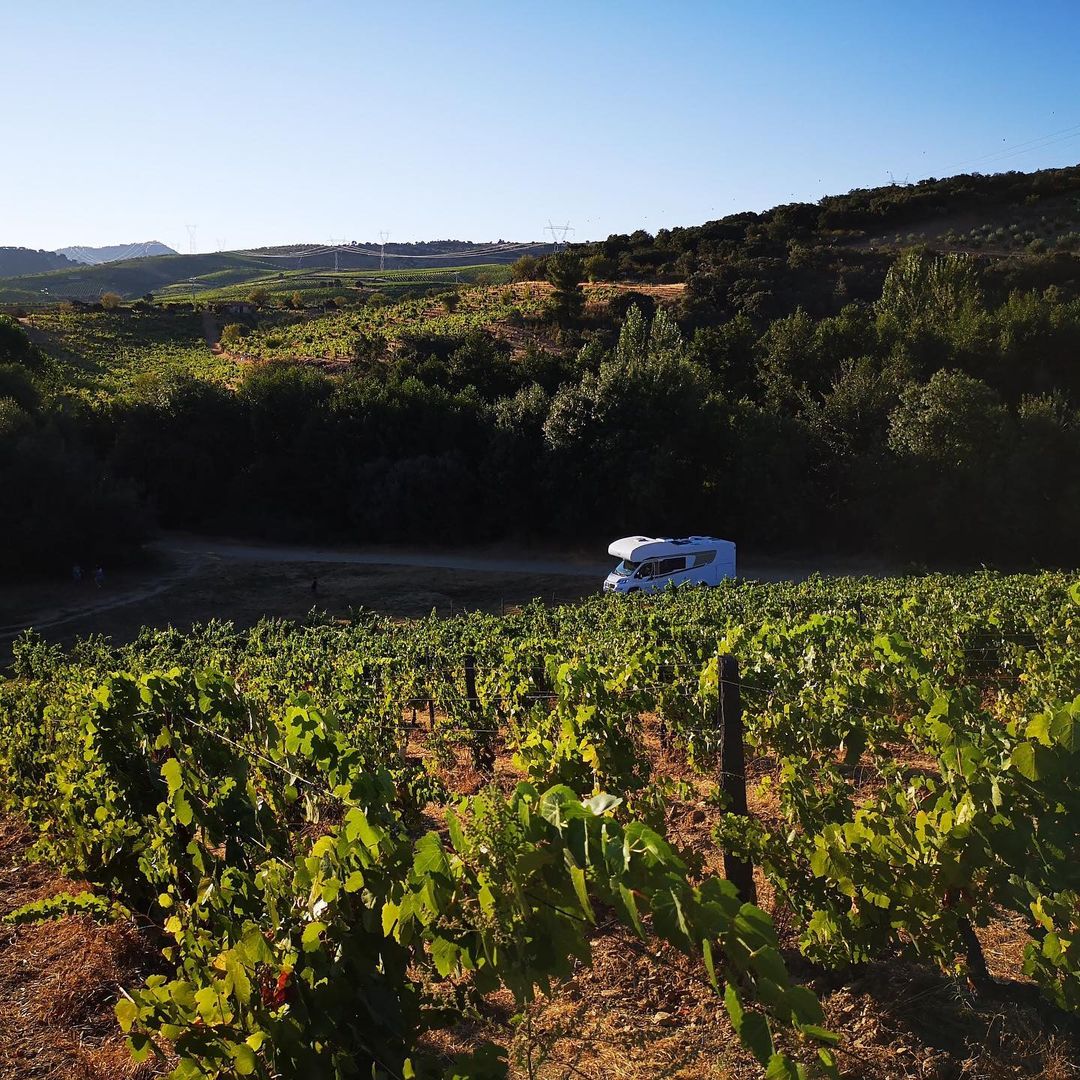 Portugal EasyCamp. Passe a noite em quintas portuguesas ao volante de uma autocaravana