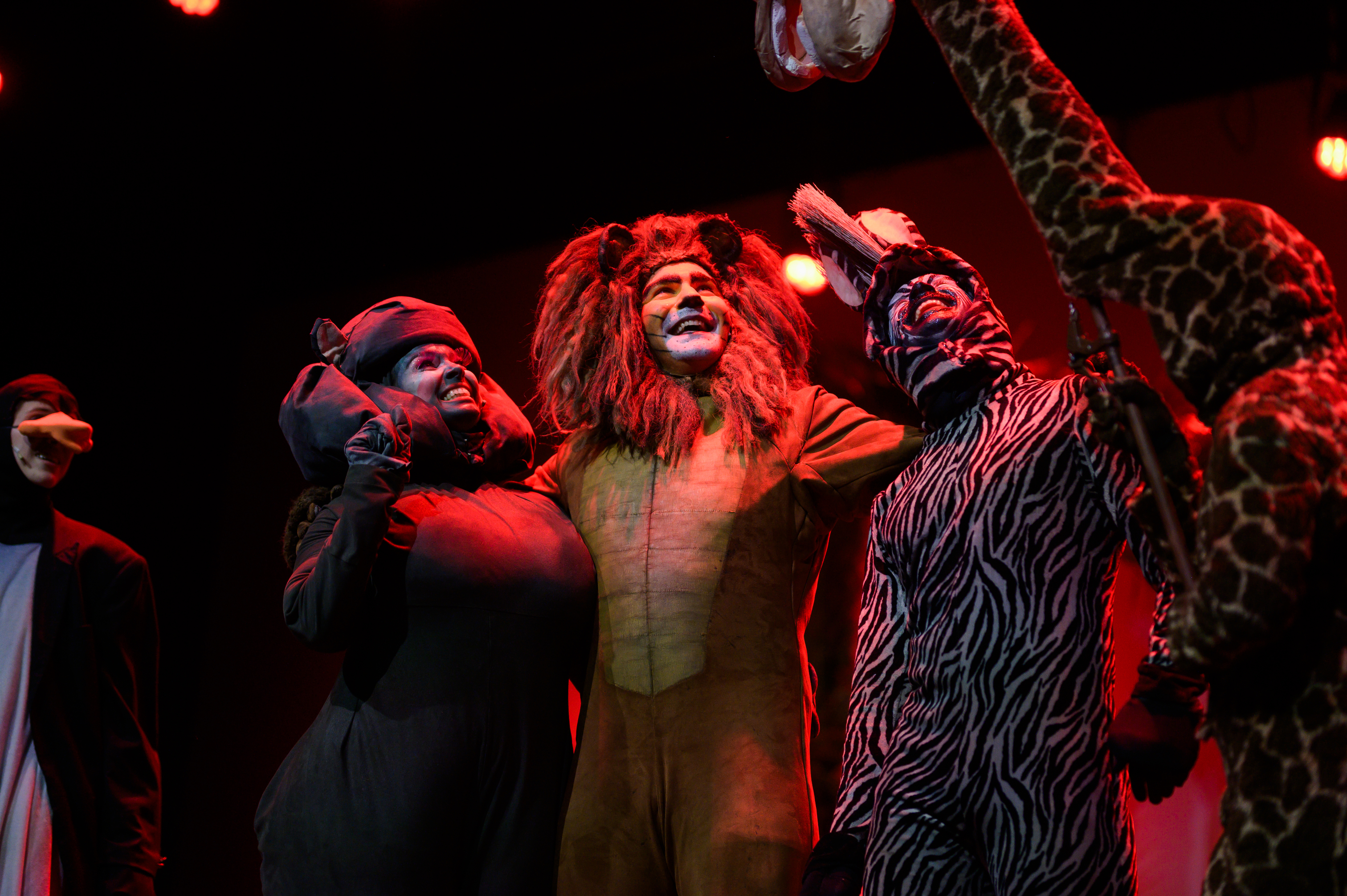 “Madagáscar – Uma Aventura Musical”. Leve os miúdos a ver a magia da selva no palco do Capitólio